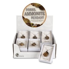 Ammonites fossil pendent - ammonites,