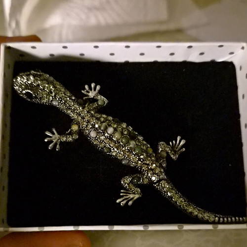 Silver tone lizard brooch - silver, pin