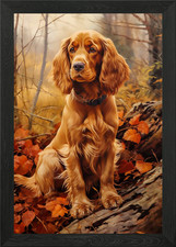 English Cocker Spaniel in