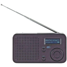 Portable DAB+ FM Rechargeable