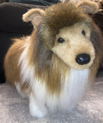 Douglas sheltie shetland - douglas, sheltie/shetland