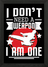 I Am A Martial Arts Weapon