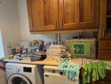 Complete Guinea Pig Set Up (indoor and outdoor)