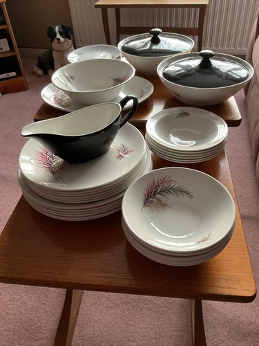 Hostess dinner service - dinner, by