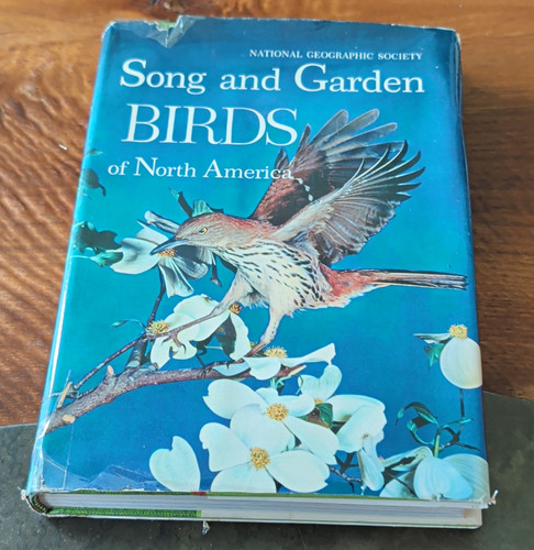 1964 song and - 1964,