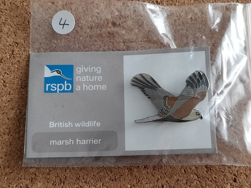 Rspb marsh harrier - marsh,