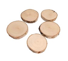 Rustic Birch Wood Slices