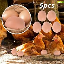 Bouncy Eggs Plastic Balls Fake