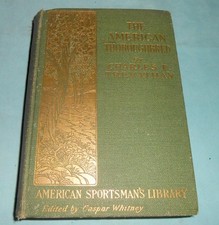 The American Thoroughbred 1905