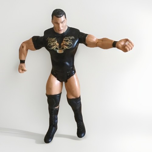 Wrestling figure toy - wrestling, wwe