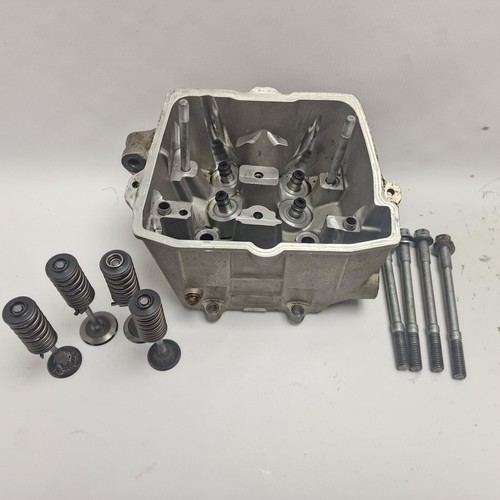 Ktm xcf 250 2009 cylinder - ktm, head