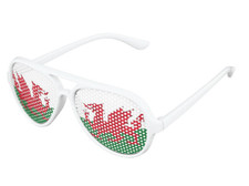 Welsh Glasses Cymru Dragon
