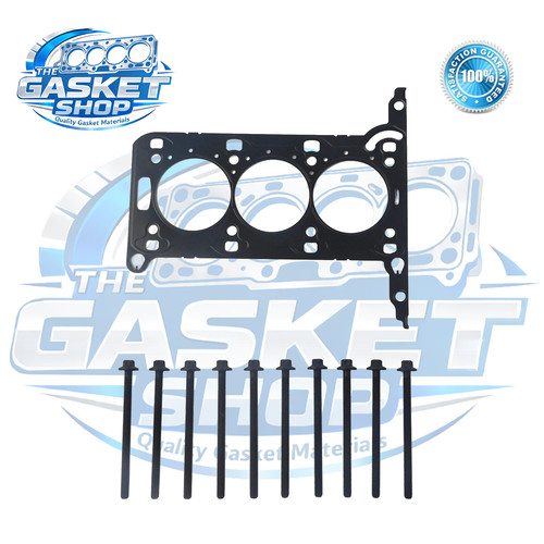 Head gasket bolts - gasket,