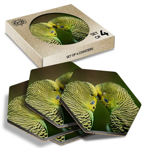 Hexagon coasters green - -,