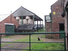 Photo A3 Cat on patrol! Old Thirsk A cat stands guard on a farm on Stone c2016
