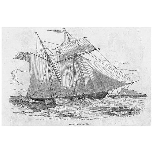 British fruit carrying - british,