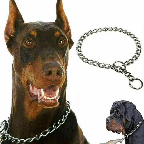 Stainless steel dog choke - dog,