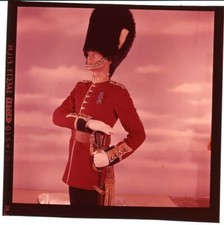 The queen guards daniel - the, queen's
