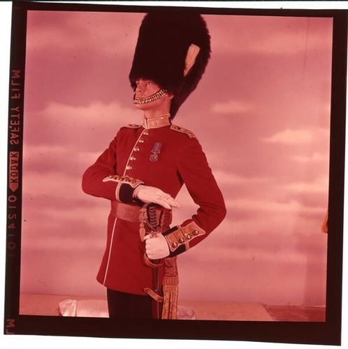 The queen guards daniel - queen's,