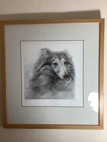 Framed limited edition print
