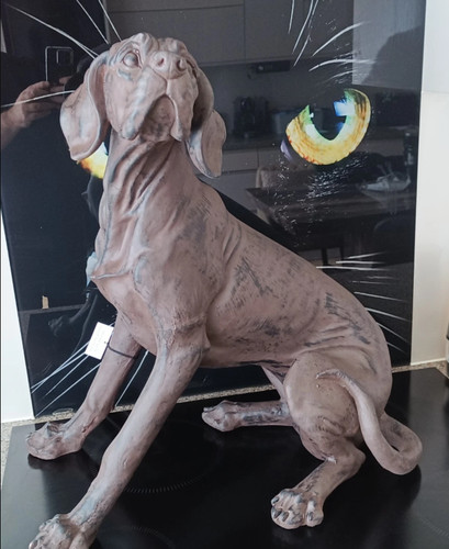 Hound hunting dog - hound,