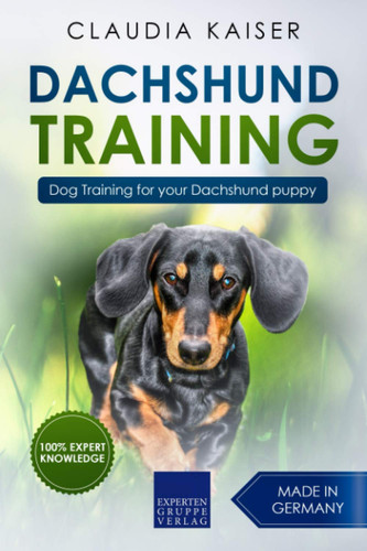 Dachshund training dog - dachshund,