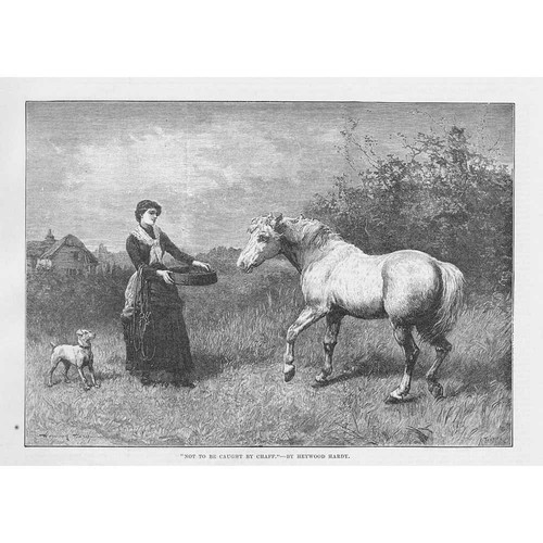 Heywood hardy not caught - heywood, to