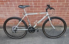 Retro 1991 Falcon Kodiak Bear