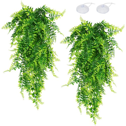 Pack reptile plants - 2,