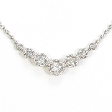 Platinum 900 850 Necklace