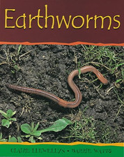 Earthworms: 2 (Minibeasts) - Llewellyn, Claire