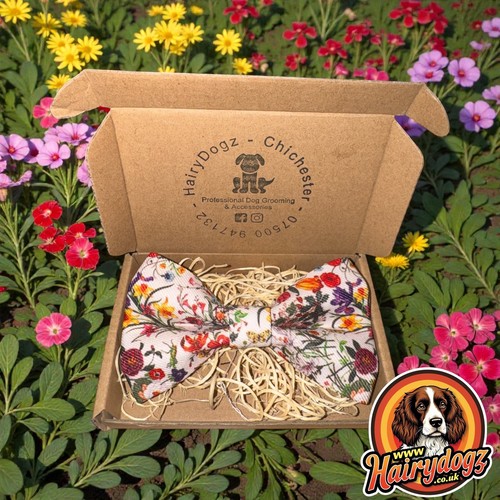 Handmade dog bow tie - bow,
