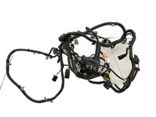 Harness Cables for ENGINE Jaguar X100 XKR XK8 04-06 93TKM!!