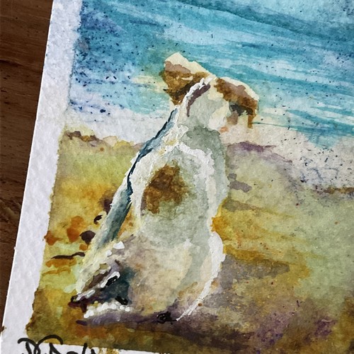 Watercolor aceo painting - painting, jack