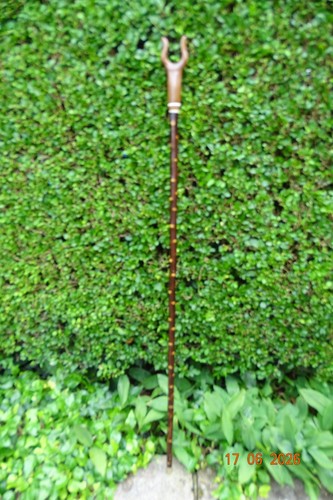Blackthorn walking stick - , with