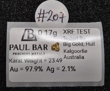 #207 - Natural Gold Nugget