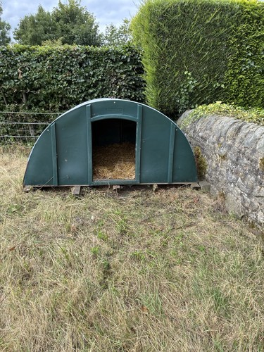 Pig ark for sale - ark, sale.