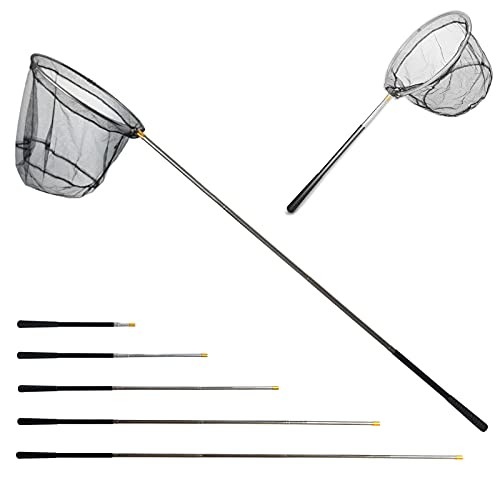 Fishing landing net with - landing,