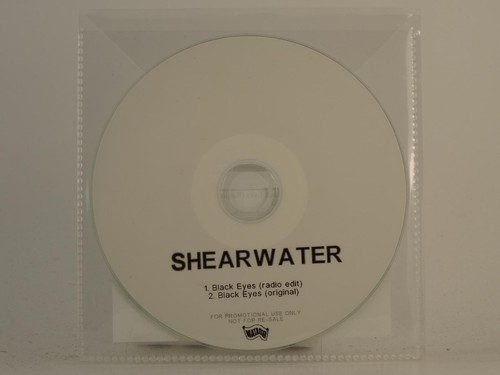 Shearwater black eyes 2 - shearwater,