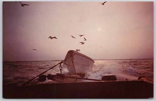 Cape cod massachusetts vintage - cod,