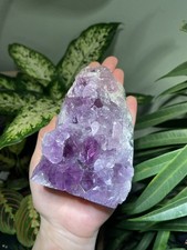 Large Amethyst Geode Natural