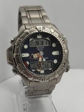 vintage citizen promaster