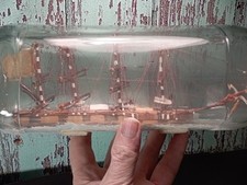 Vintage Ship In A Bottle Four