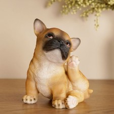 Best of Breed French Bulldog
