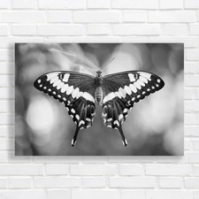 Unlocking The Mystery