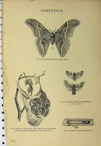 Original old antique - original, print