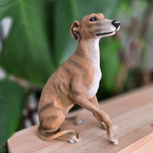 Leonardo collection whippet - leonardo,