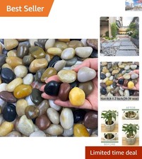 Smooth, Shiny Mixed Pebbles -