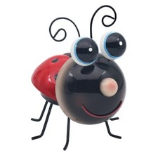 Bright Eyes Red Ladybird