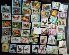 Sharjah and Dependencies pre